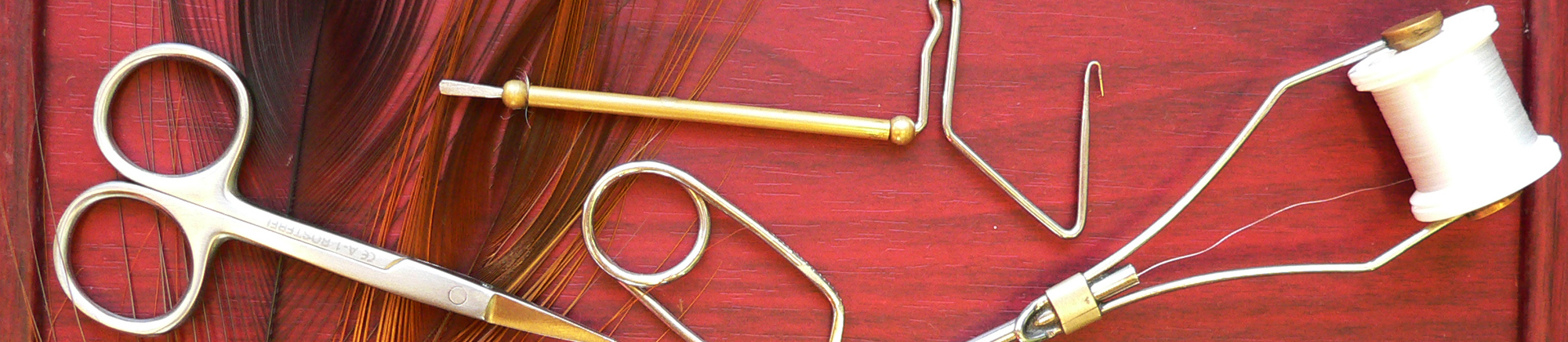 header image